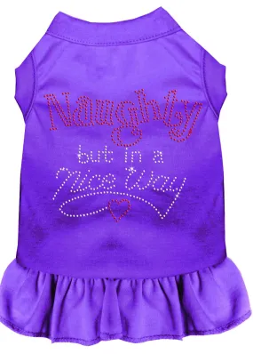 Rhinestone Naughty But In A Nice Way Dress Purple 4x (22)